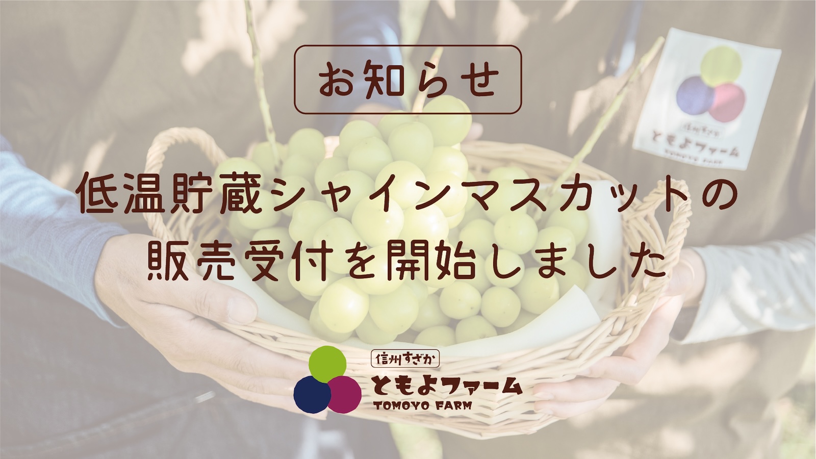 低温貯蔵シャインマスカットの受付を開始しました